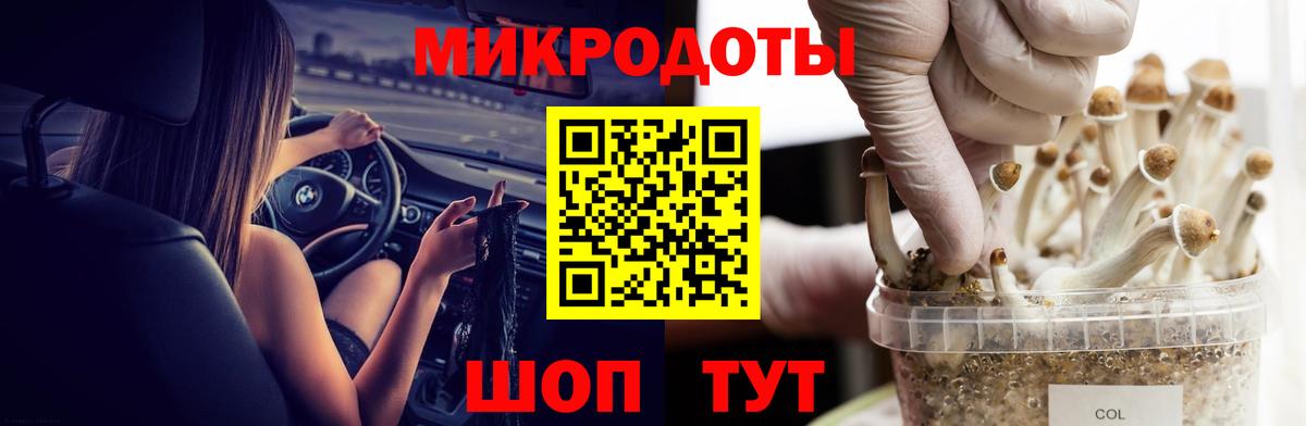 Галлюциногенные грибы GOLDEN TEACHER  Псилоцибиновые грибы мухоморы  Новоалтайск  Вход с VPN 